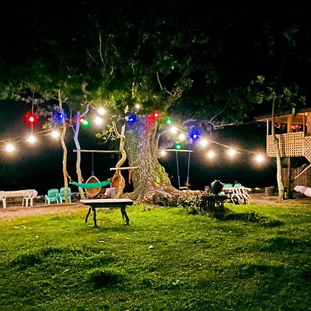 Borbon'S Treehouse By The Sea Bed & Breakfast Мамбаджао Екстериор снимка